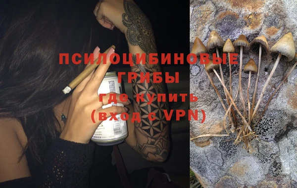 гидропоника Куйбышев